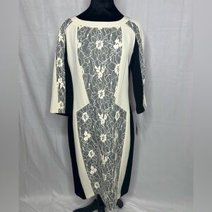 NWT, Gabby Skye Front Lace Heath Dress, SZ 10.